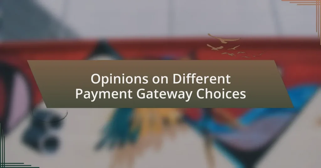 Opinions on Different Payment Gateway Choices